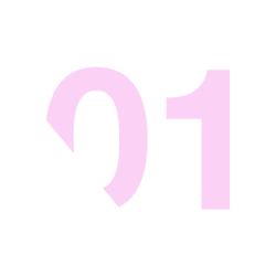 Dica 1: determine bem o seu nichos